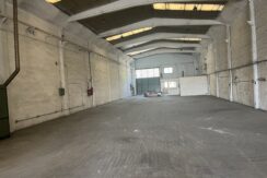 Img 3943