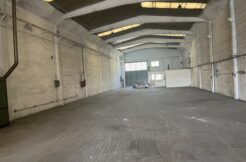 Img 3943